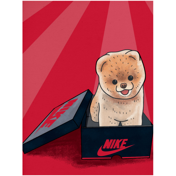 Obraz na płótnie Puppy Box