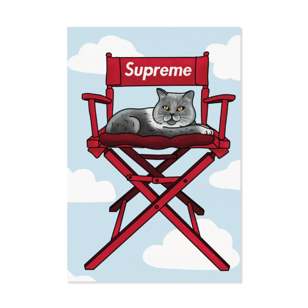 Obraz na płótnie Supreme Chair Cat